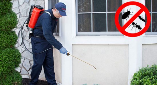 Torbalı Böcek ve Haşere İlaçlama böcek ilaçlama ve haşere kontrolü — ilaclama-tr.com